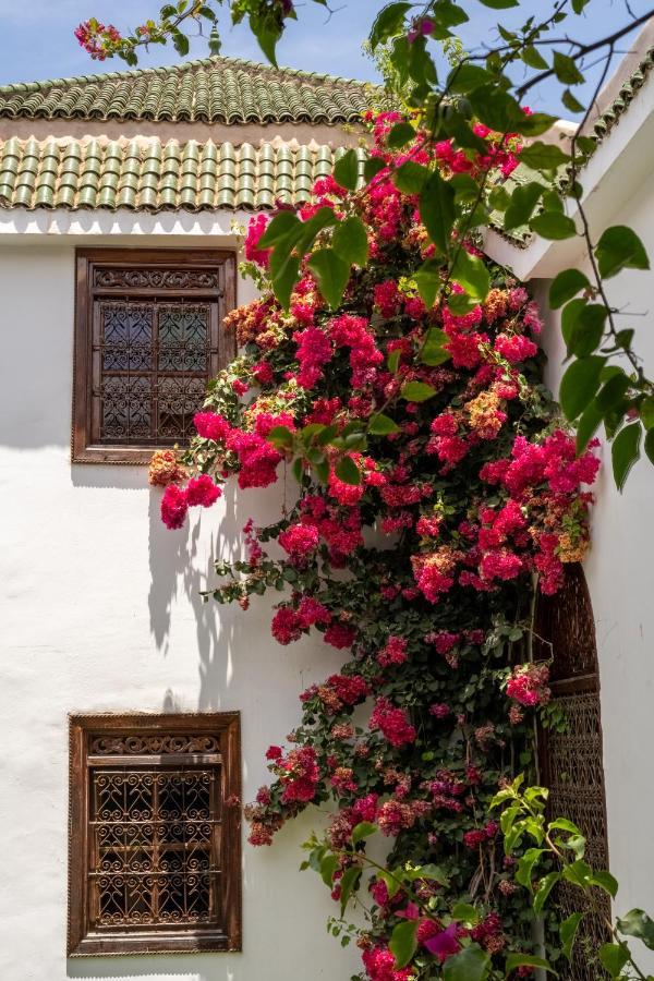 מרקש Riad Alma מראה חיצוני תמונה