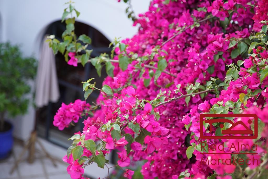 מרקש Riad Alma מראה חיצוני תמונה