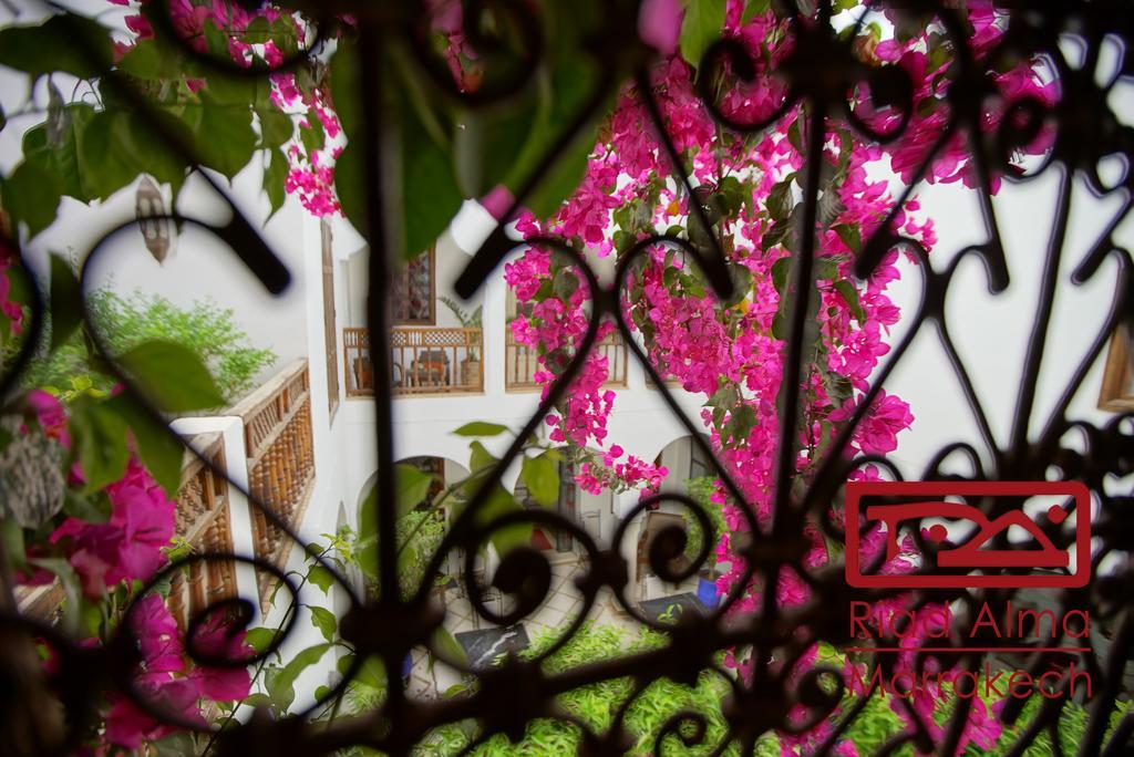 מרקש Riad Alma מראה חיצוני תמונה